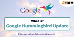 What Is Google Hummingbird Update
