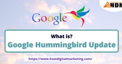 What Is Google Hummingbird Update