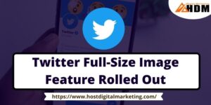 Twitter Full-Size Image Feature Rolled Out